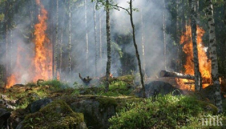 ВНИМАНИЕ! Повишава се опасността от пожари в страната