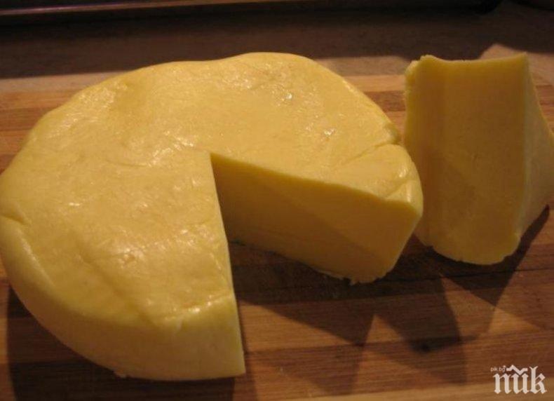 В Египет откриха кашкавал на 3 200 години