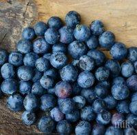 ДАР ОТ ПРИРОДАТА: Този плод удължава младостта