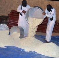 Потвърдиха ареста на холандците, разследвани за трафик на 16 тона прекурсори