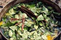 Какво е усещането да умираш? Растение дава отговора