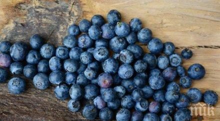 цената боровинките тръгна надолу