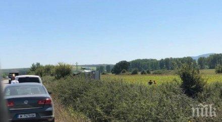 извънредно камион обърна враца изсипа опасни химикали снимки