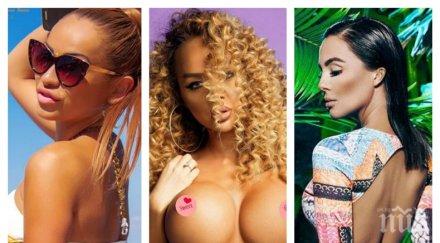 змиярник панаир плътта вип брадър три плеймейтки резилят наесен снимки