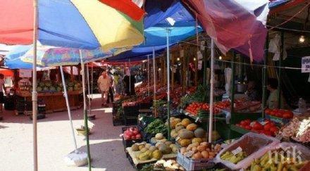 парадокс посред лято доматите скъпи зимата