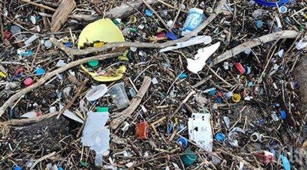 катастрофа райски залив вижте клозета южното черноморие еколозите кандидатстват гинес снимки