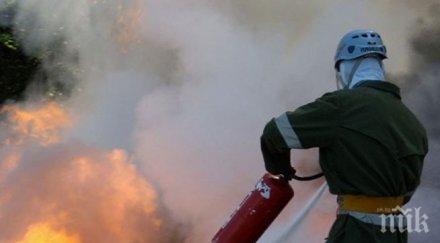 извънредно гори читалището село гложене снимка