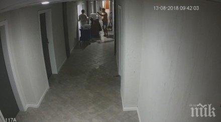 хит хотелиер предложи наказание бияча камериерката реди павета