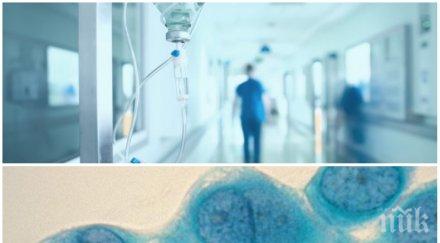 паника опасна инфекция върлува пловдив води безплодие