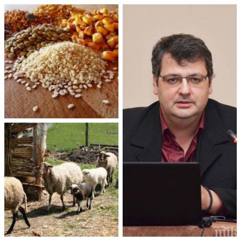 САМО В ПИК TV! Има ли ГМО в българската храна - топ експерт разкрива какъв хляб ядем и ще се вдигне ли цената му 