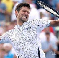 Златен Джокович! Сърбинът събра титли от всички 9 турнира на 