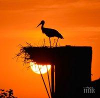  КЛИМАТИЧНИ АНОМАЛИИ! През следващите години времето ще се побърка, ще бъде много...