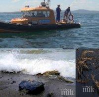 ЕКОЛОГИЧНА КАТАСТРОФА! СТРАШНО ПРЕДУПРЕЖДЕНИЕ: Само за минута 100 тона мазут може да изплуват на повърхността на морето край Созопол