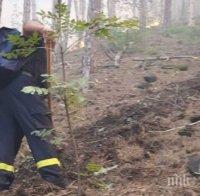 Лесничеи: Пожарът край Карлово е умишлен палеж
