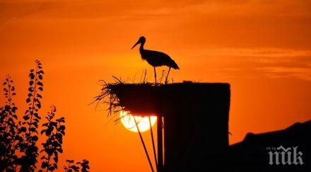 климатични аномалии следващите години времето побърка