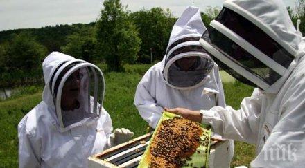 национална среща събра пчеларите беклемето