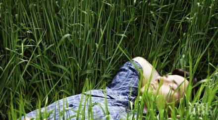 рекорд лежане беше поставен мързеливата олимпиада черна гора