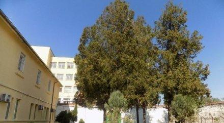 местят затворниците керамичната фабрика враца