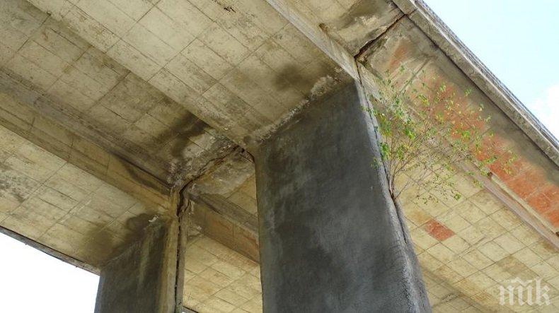 Мостовете в Пиринско са за ремонт