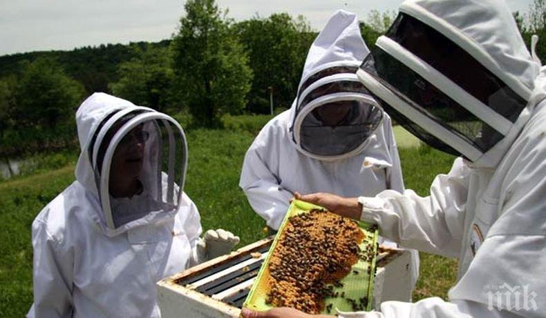 Национална среща събра пчеларите в Беклемето
