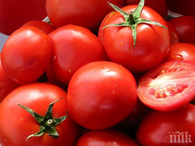 По-скъпи домати и праскови през август