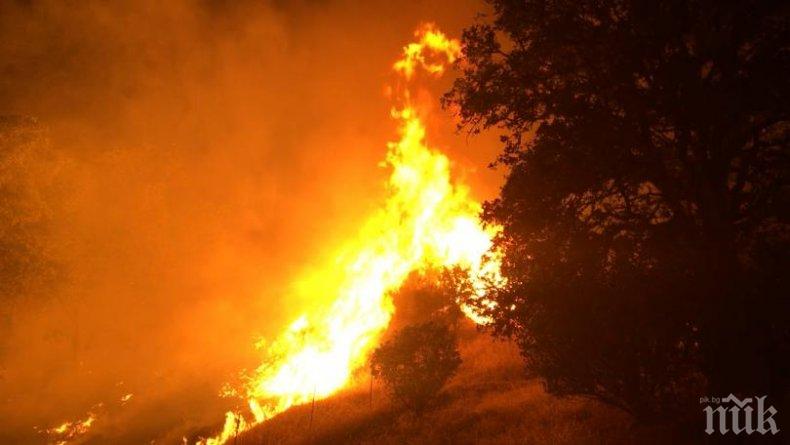 ИЗВЪНРЕДНО! Голям пожар избухна край Карлово, гъст дим се стеле над града