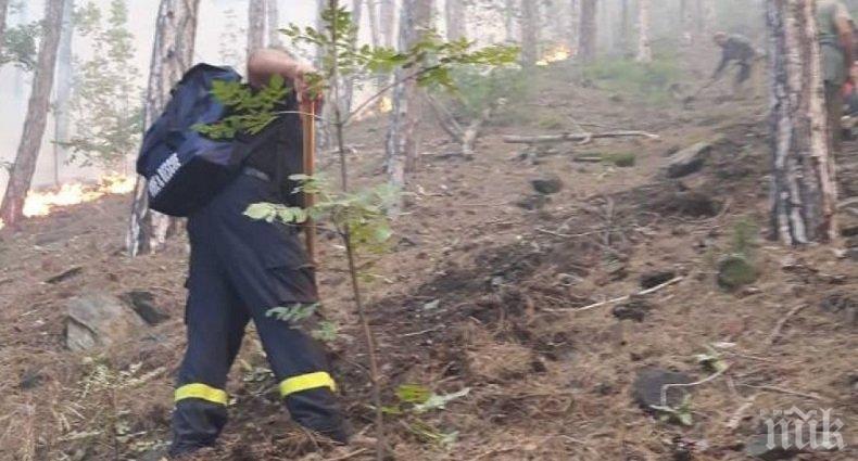 Лесничеи: Пожарът край Карлово е умишлен палеж
