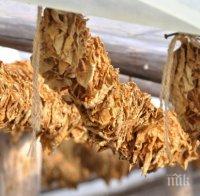 Турски шофьор получи 3 г. условно за контрабанден тютюн