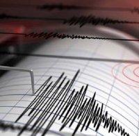 Земетресение с магнитуд 4.5 по Рихтер бе регистрирано край бреговете на Камчатка