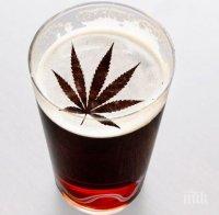 Американска компания инвестира милиарди долари в бира с марихуана
