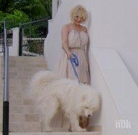 Тони Дачева пее на Видинския панаир