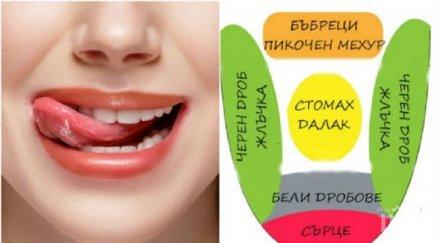 нетрадиционна медицина диагноза език