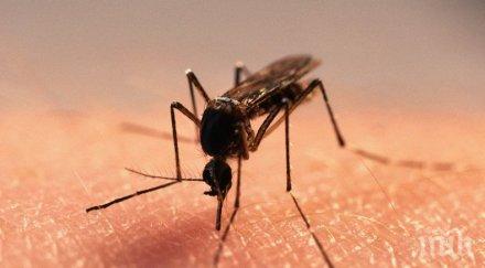 четири жертви западнонилската треска сърбия последната седмица