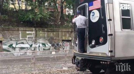 куриоз две кози хванаха метрото йорк