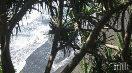 ураган прекъсне снимките два хитови американски сериала хаваите