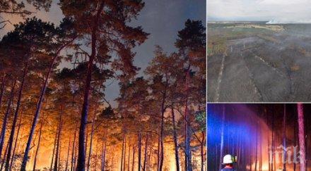 горски пожари берлин властите съветват хората отварят прозорци снимки