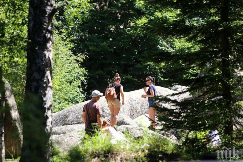 Откриват нов заслон на Витоша