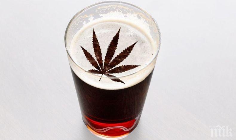 Американска компания инвестира милиарди долари в бира с марихуана