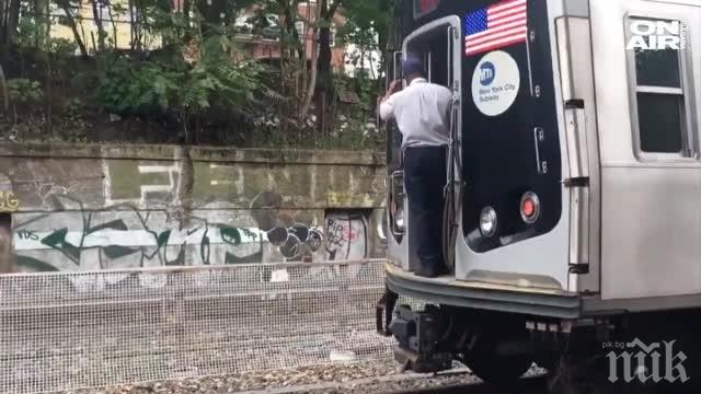 КУРИОЗ! Две кози хванаха метрото в Ню Йорк