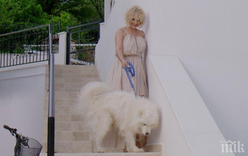 Тони Дачева пее на Видинския панаир