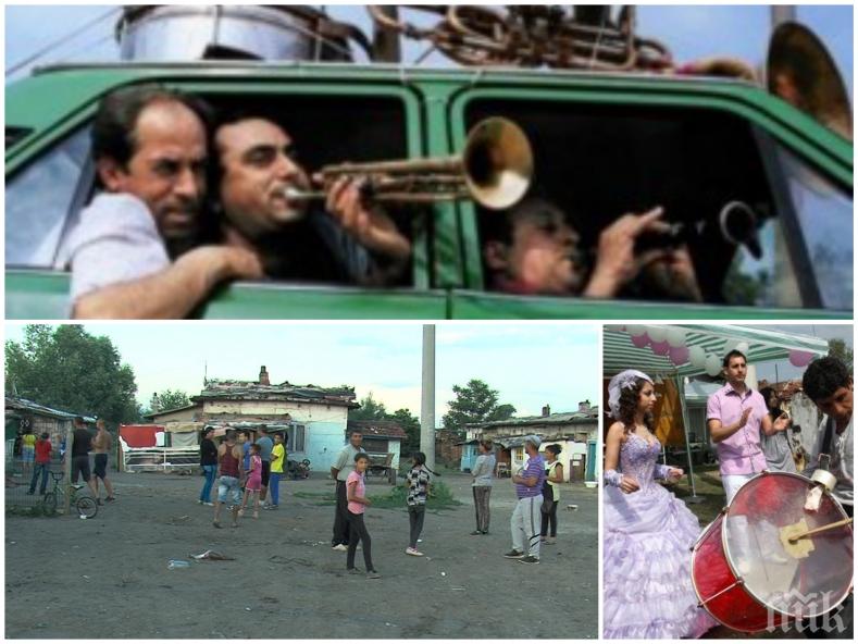 ДОКОГА ЦИГАНСКА НАГЛОСТ? Цяла община пропищя от тормоза и своеволията на мургавелковците