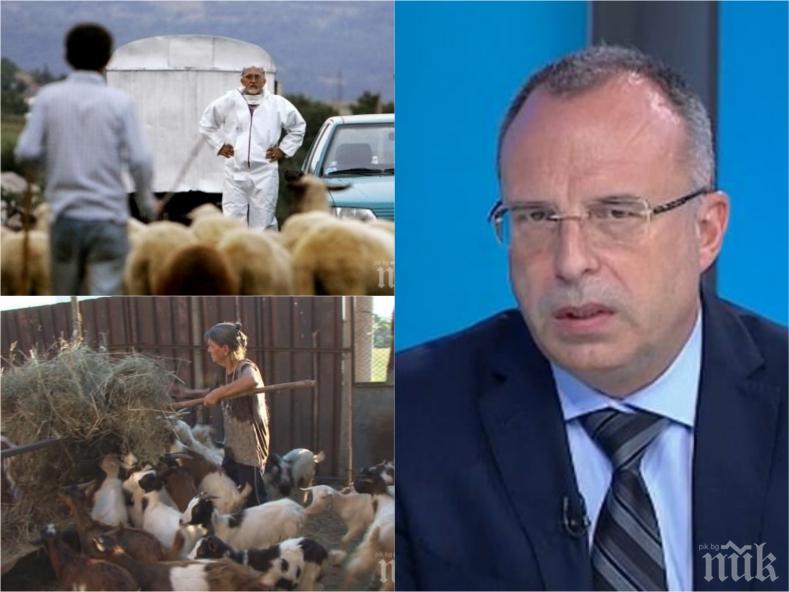 ИЗВЪНРЕДНО В ПИК TV! Порожанов с остри думи към Корнелия Нинова и БСП за чумата в Странджа! Оставки няма да има (ОБНОВЕНА)