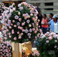 Детройт се поклони пред тленните останки на Арета Франклин (СНИМКИ)