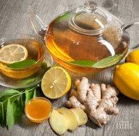 ВЪЛШЕБНО! Чай от джинджифил ускорява метаболизма и помага за отслабване
