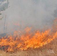 Забраниха косенето и машинното почистване в обработваемите земи и паленето на стърнища