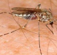 Шест жертви на западнонилската треска в Сърбия за последната седмица