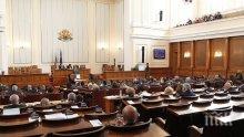 Депутатите с повече стомаси ли са?