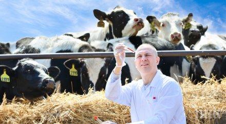 протест 500 000 лева дължи държавата ветеринарите хасковско