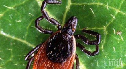 тровят кърлежите пловдив септември