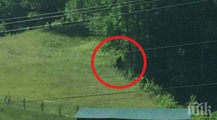 мистерия йети висок метра преследва жена гората